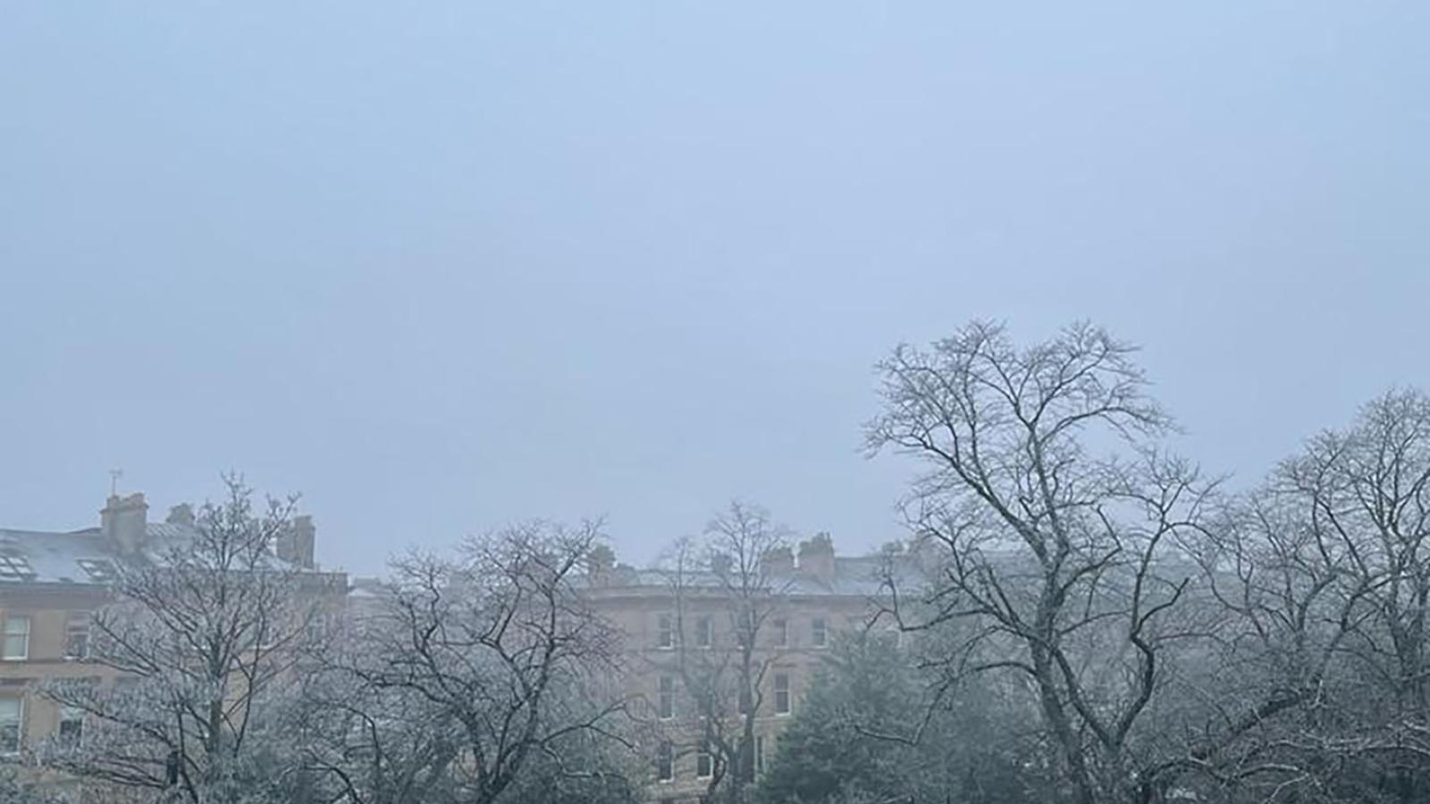 Ausblick aus dem Arbeitsbro des Goethe-Institut Glasgows auf eine Grasfl?che und B?ume unter grauem Himmel und Nebel.