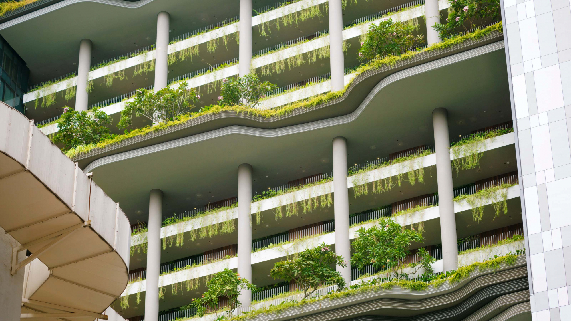 Balkone mit grnen Pflanzen an einem Hochhaus