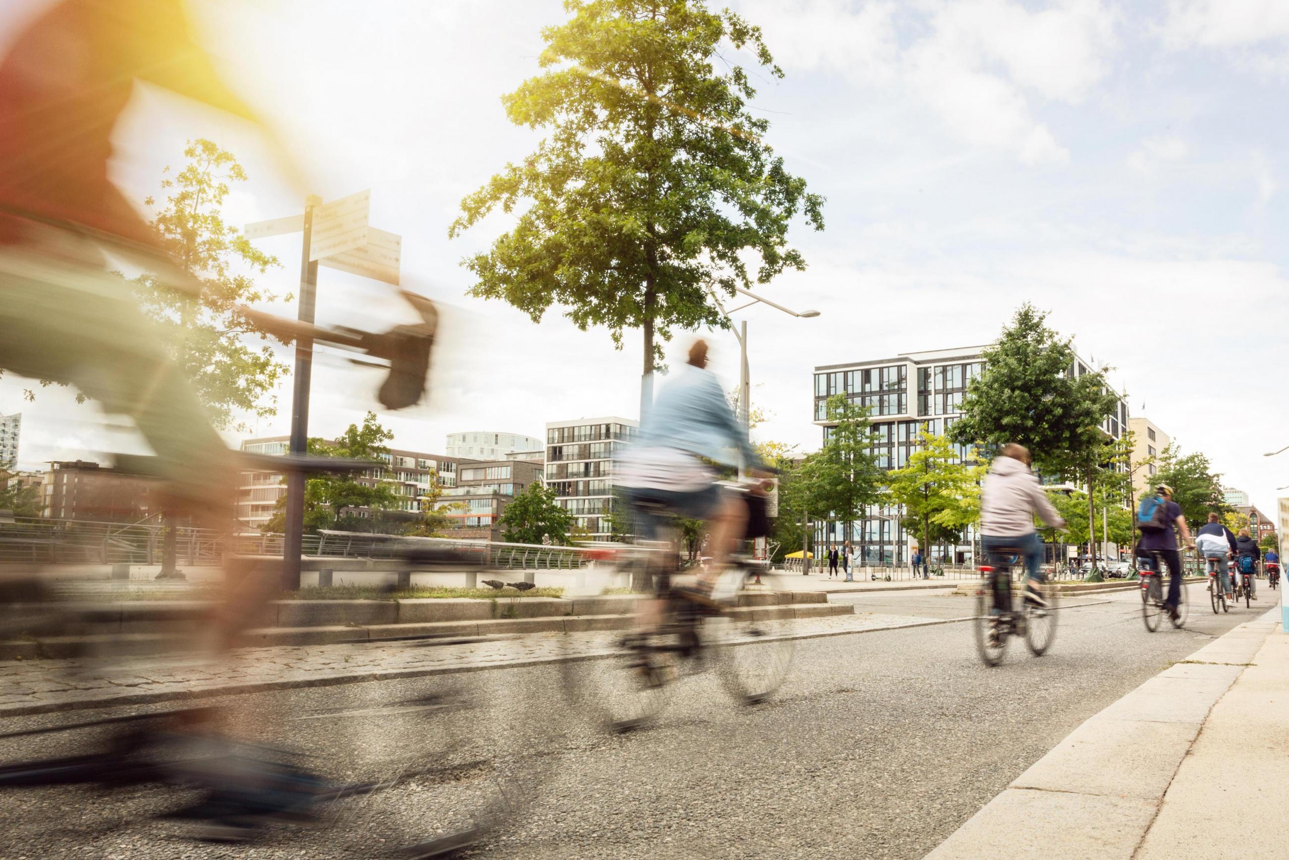 Fahrradfahrende in einer Stadt mit grnen B?umen und modernen Geb?uden