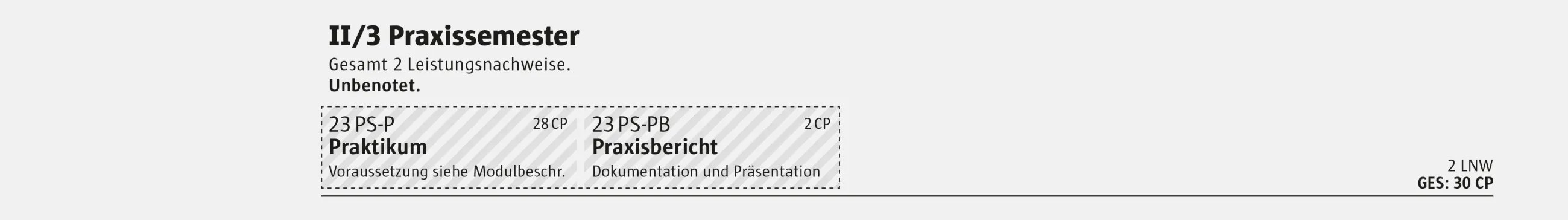 Modulgruppe II/3 Praxissemester